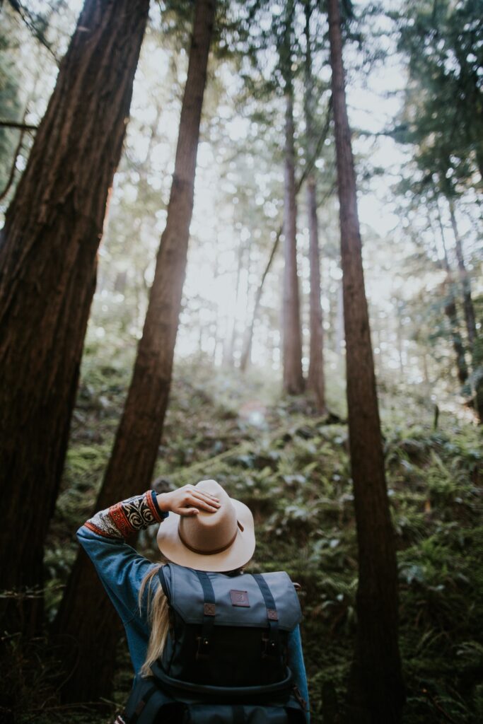 Woman with hat hiking in redwood trees
