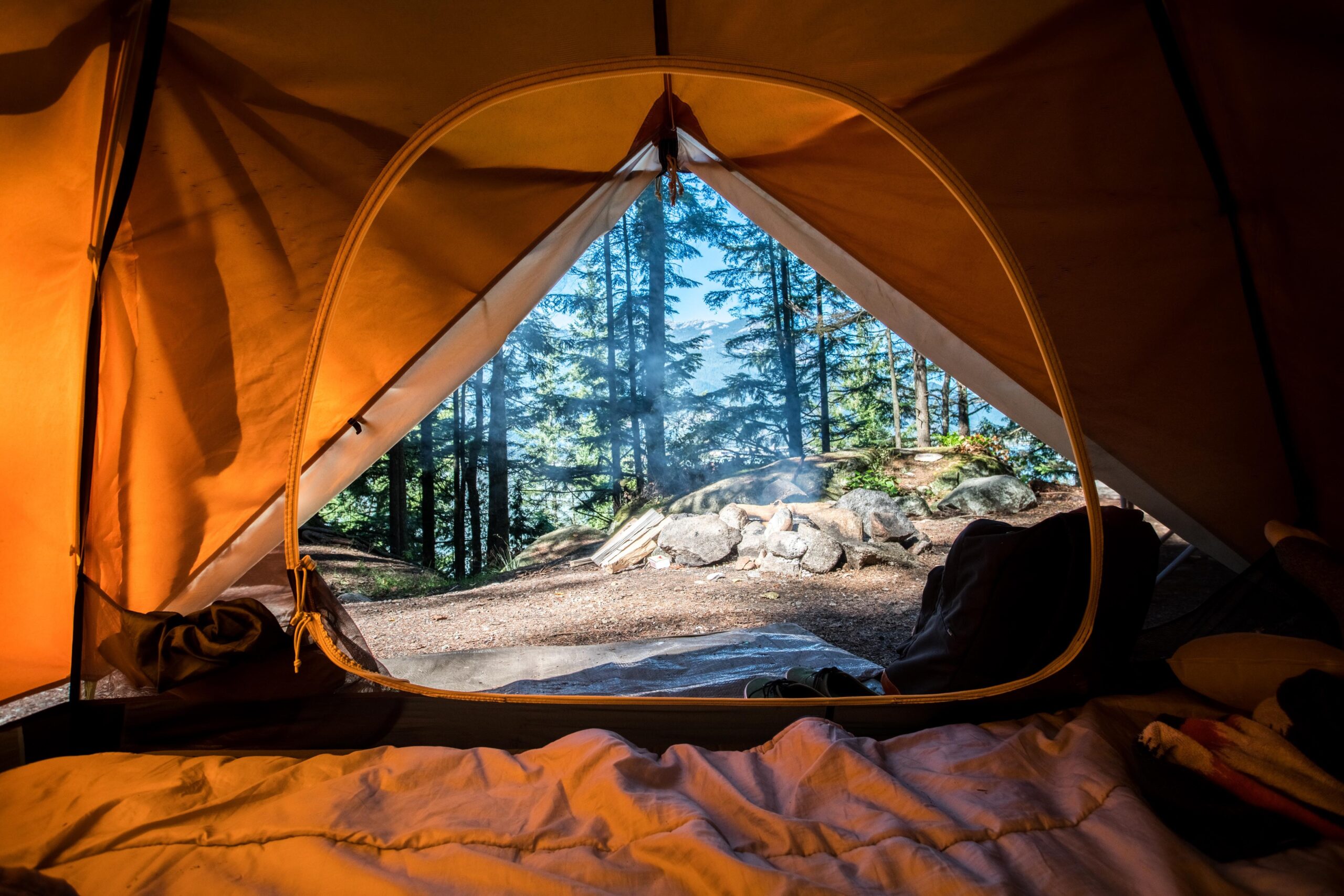 Tent, trees, camping